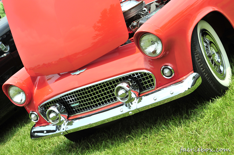 '56l T-bird