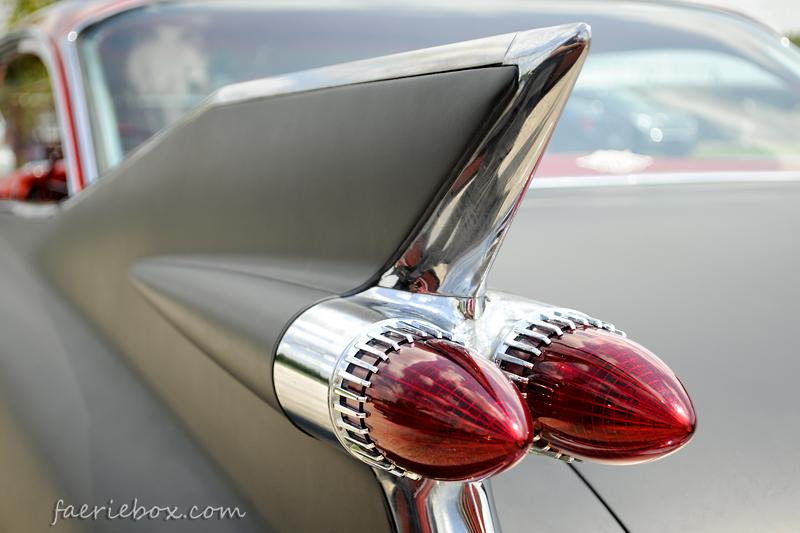 Caddy fin