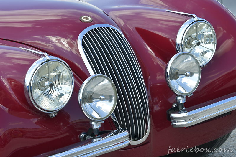 '52 Jaguar XK120