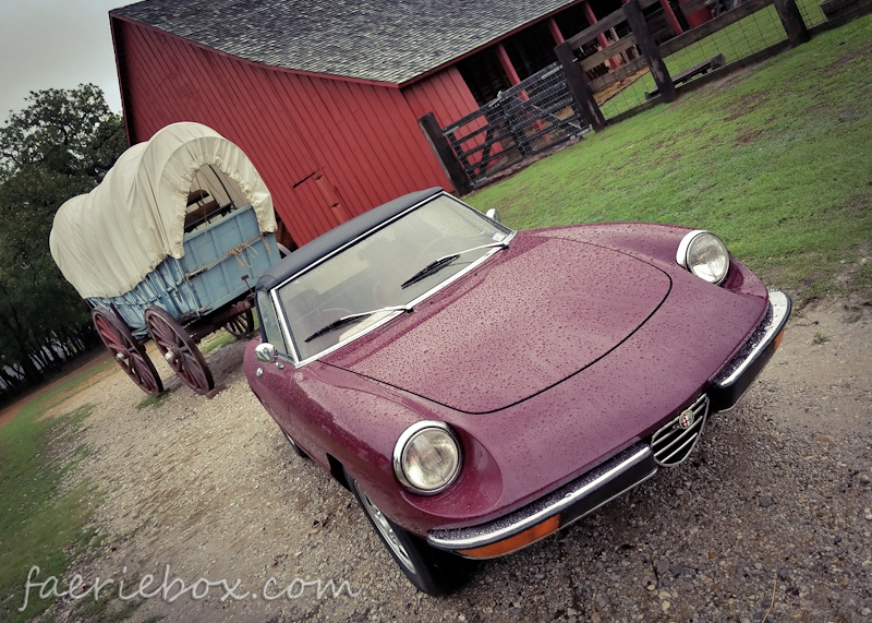 Alfa Spider