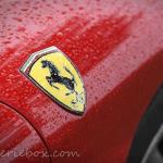 covetted badge