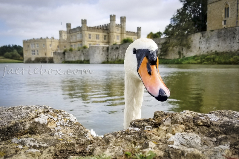 Leeds Castle