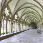 Salisbury Cathedral Cloister