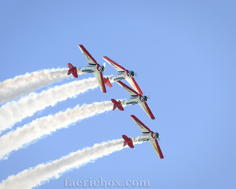 T-6 Aeroshell Demo Team