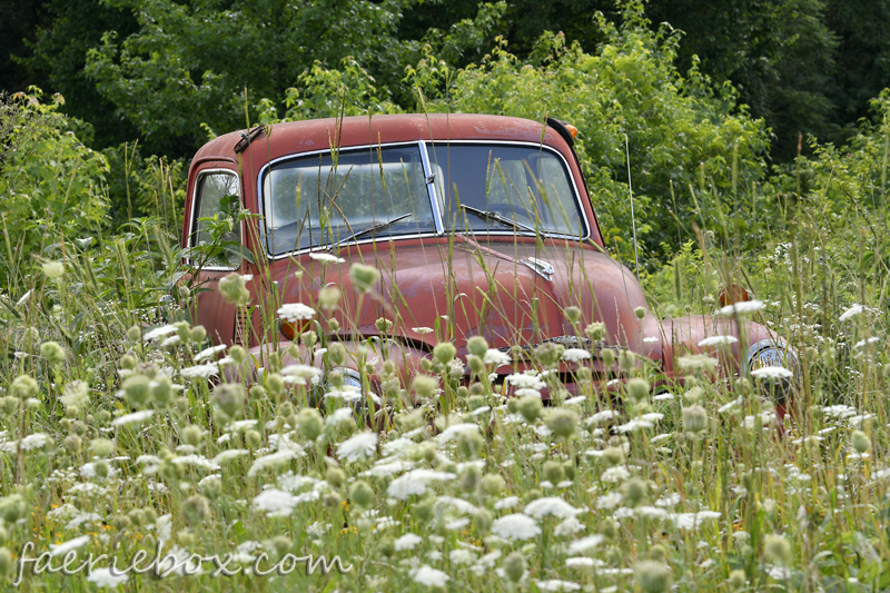 Chevy truck