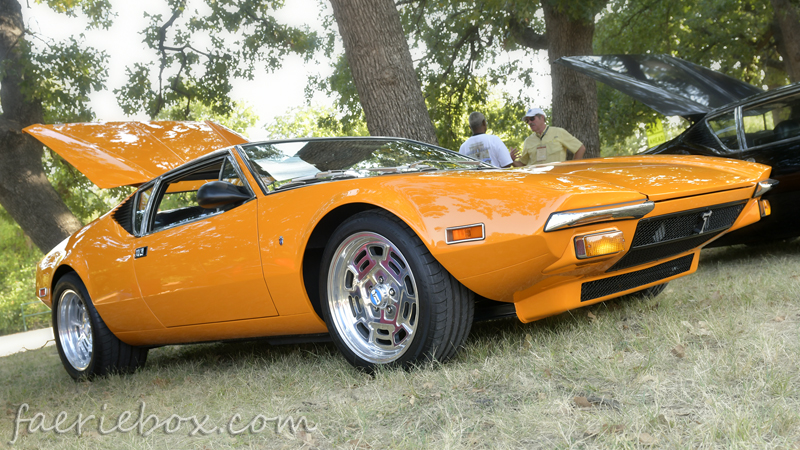 '74 Pantera