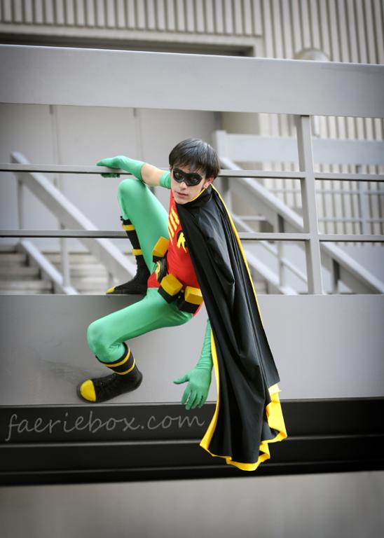 Robin hangin' around