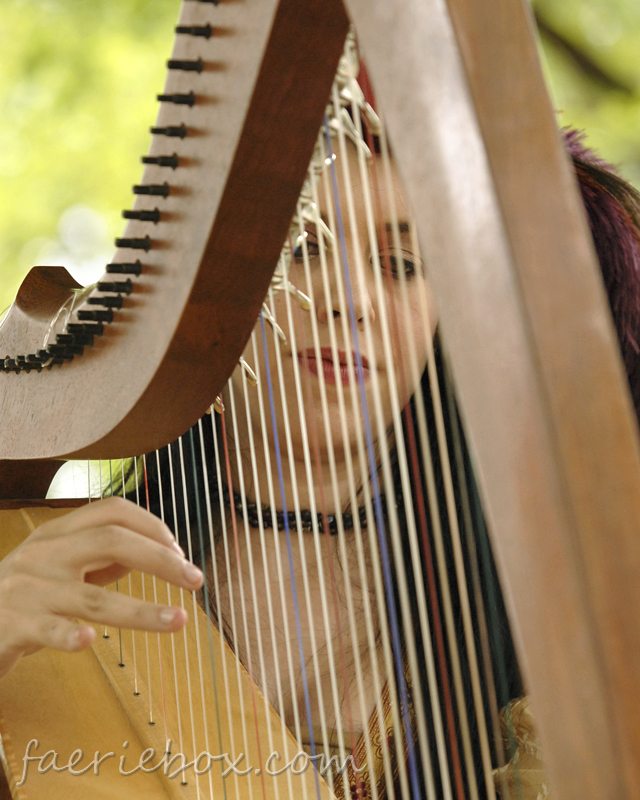 sweet Sarah on the strings