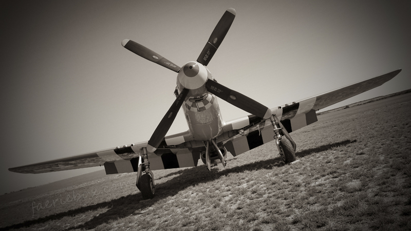 P-51 Mustang