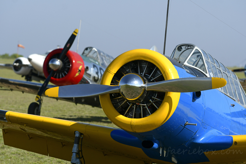 Vultee BT-13 Valiants