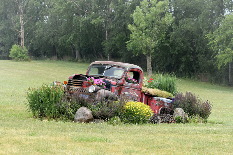 Chevy flower bed