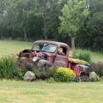 Chevy flower bed