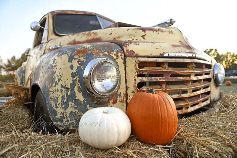 '49 Studebaker Truck