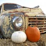 '49 Studebaker Truck