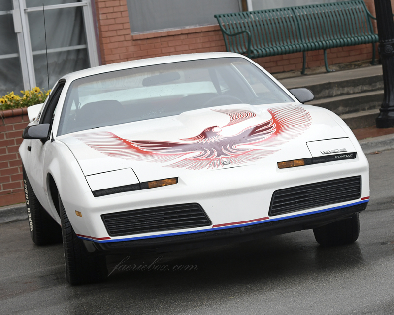 '82 Firebird MSE