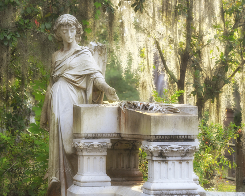 Marie Barclay Taliaferro grave