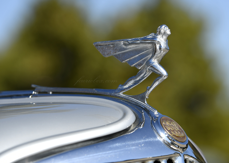 '32 Graham Blue Streak